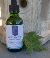 Load image into Gallery viewer, Motherwort Herbal Tincture