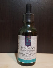 Load image into Gallery viewer, Echinacea Tincture