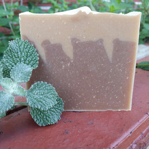 Double Agent Natural Soap